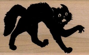 Scary Cat 2 1/4 x 3 1/2-0