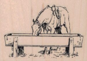 Horse At Trough 3 x 2-0